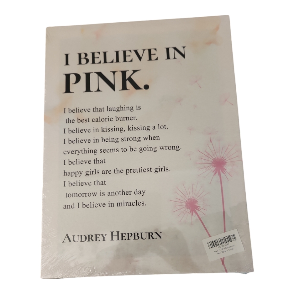 I Believe in Pink Wall Hanging